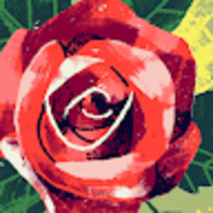 Meet your Posher, Debra